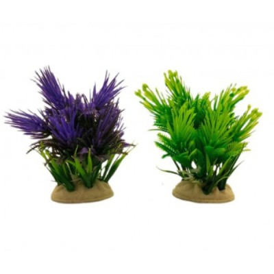 ΔΙΑΚΟΣΜΗΤΙΚΟ ΦΥΤΟ ΕΝΥΔΡΕΙΟΥ ΣΕ 2 ΧΡΩΜΑΤΑ 12Χ6CM